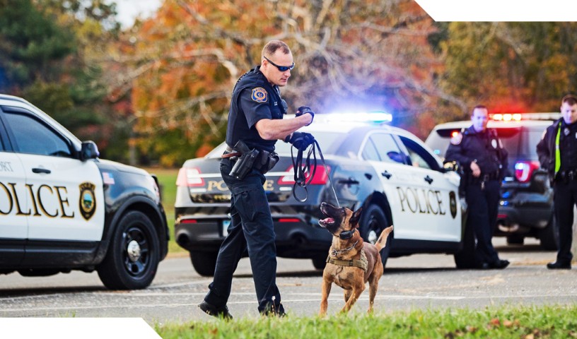 K-9 officer and German Shepherd canine on leash with policeman and police cars with flashing lights in the background.